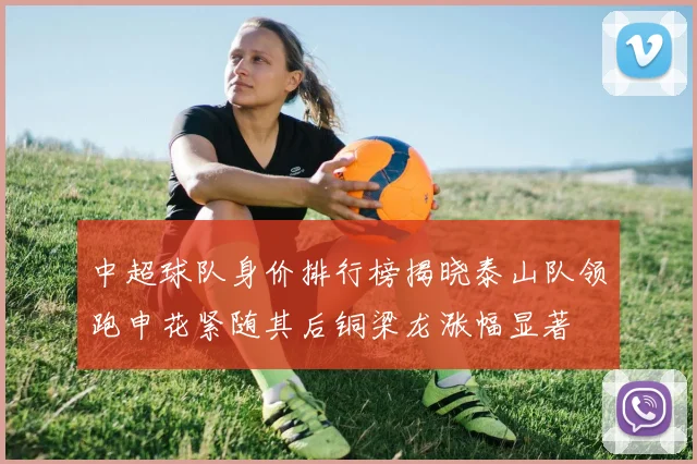 中超球队身价排行榜揭晓泰山队领跑申花紧随其后铜梁龙涨幅显著